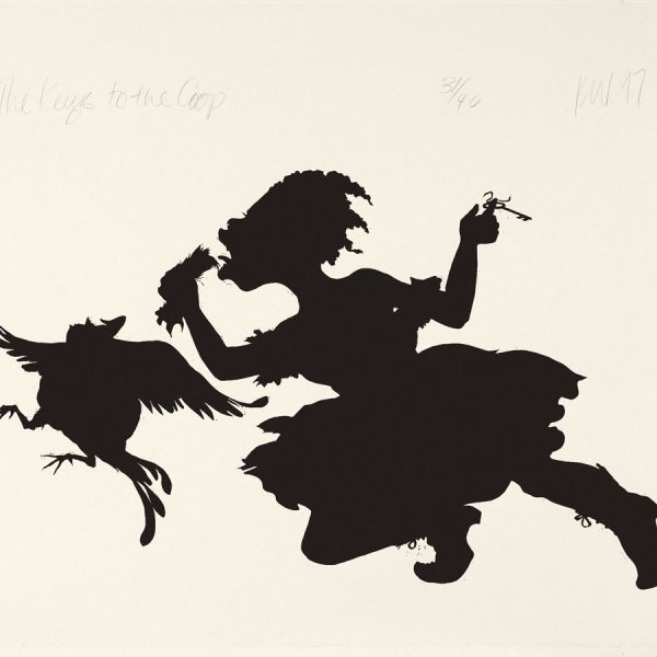 silhouette of woman chasing bird