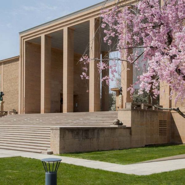 photo of exterior of Cranbrook Art Museum with cherry blossom tree
