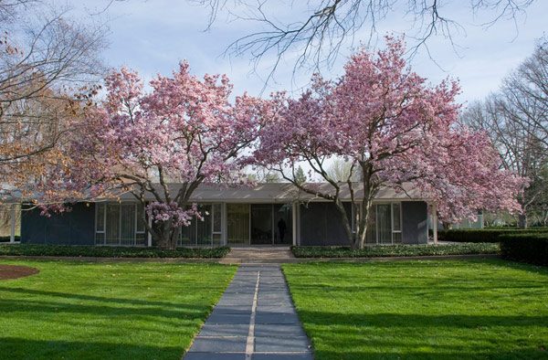 photo of house exterior with cherry trees