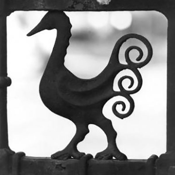 gray sculpture of peacock bird