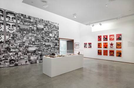 Shepard Fairey Salad Days full gallery with print wall