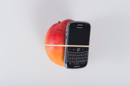 Landlord Colors, mango tied to phone with rubber band