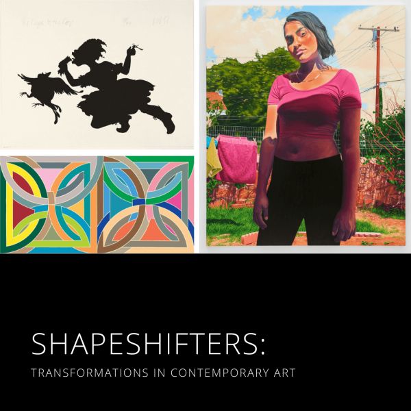 Shapeshifters Contemporary Art Exhibition