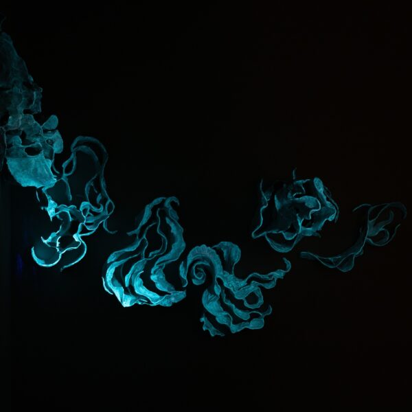 Ruiqi Liu Performance: Solidification in Between