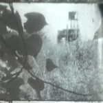 Michael Hubbard Performance: I'm the Very Midst of the Fall 