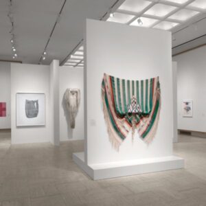 Cross-Discipline: Fiber + Photography at Cranbrook Academy of Art Curator-Led Tour